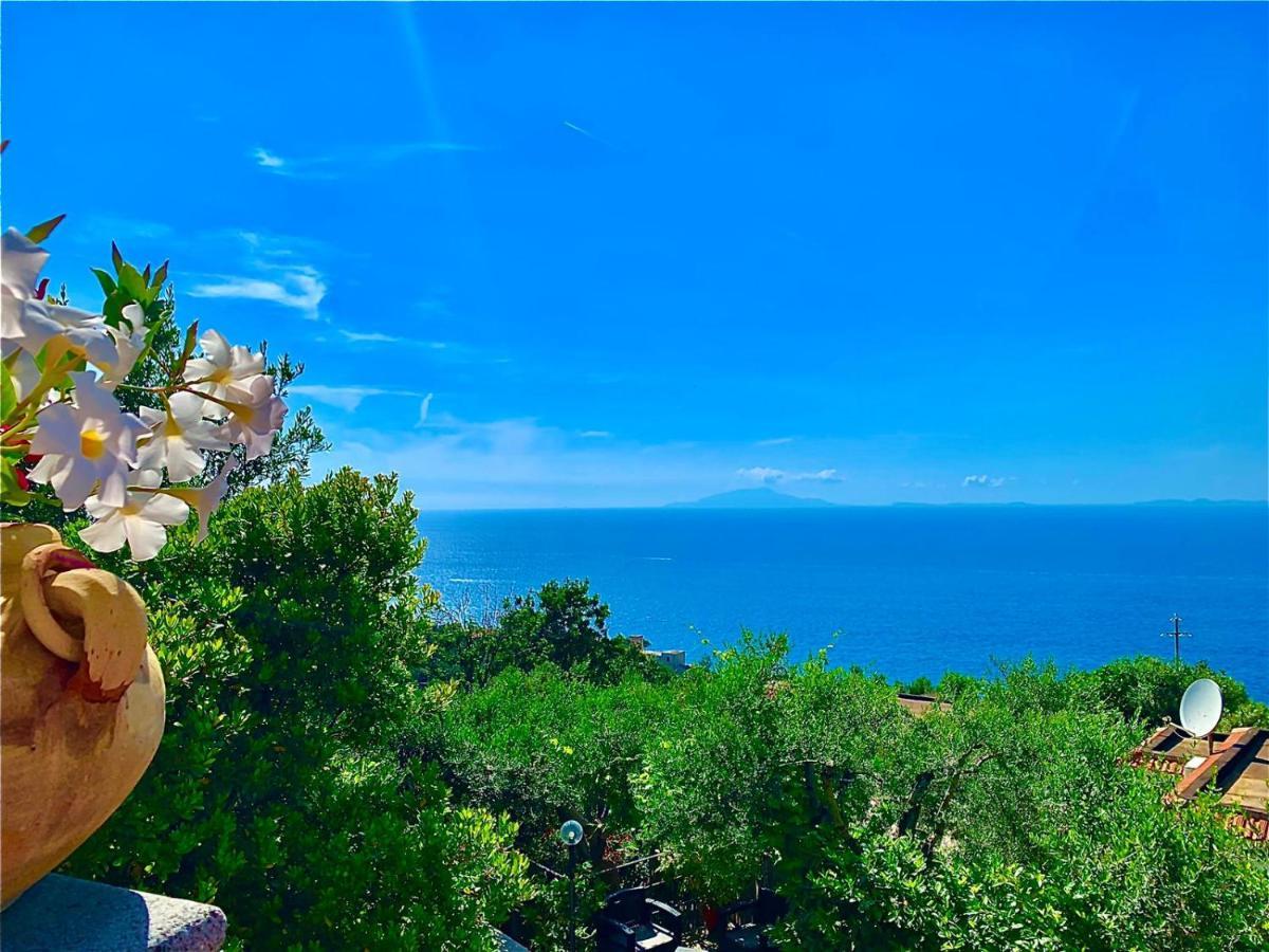 Amore Rentals - Casa Tatano Marciano Dış mekan fotoğraf