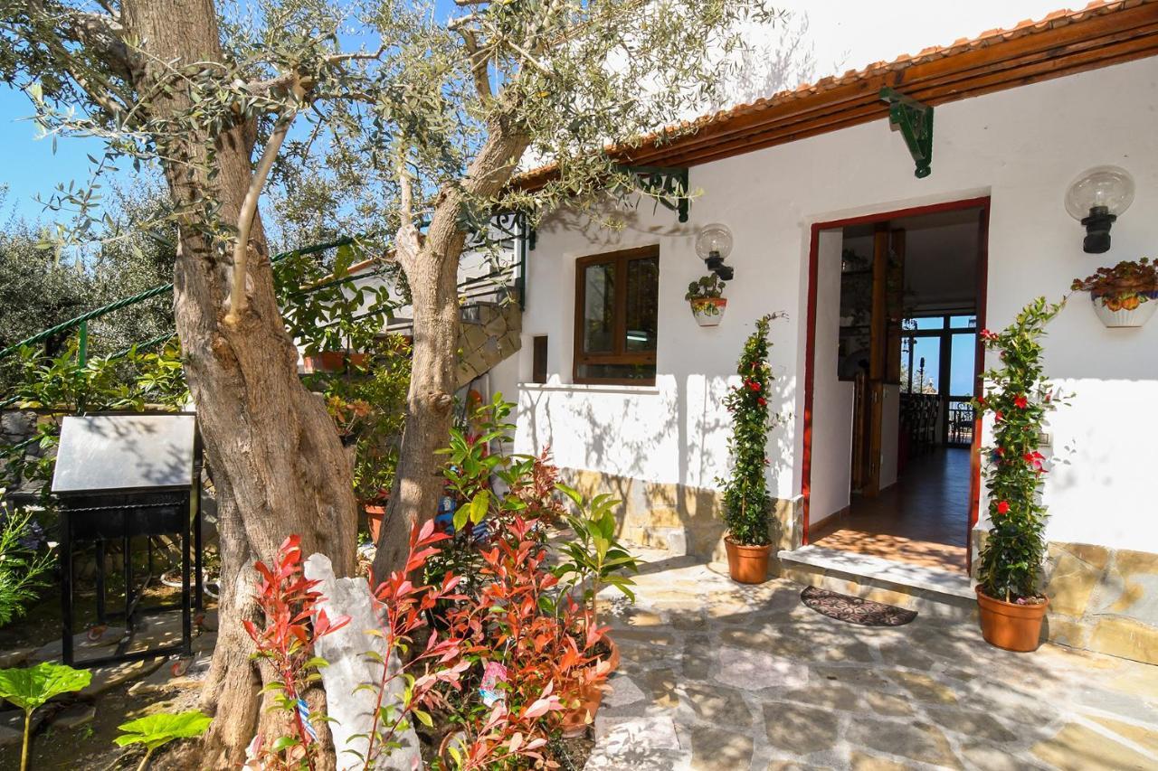 Amore Rentals - Casa Tatano Marciano Dış mekan fotoğraf