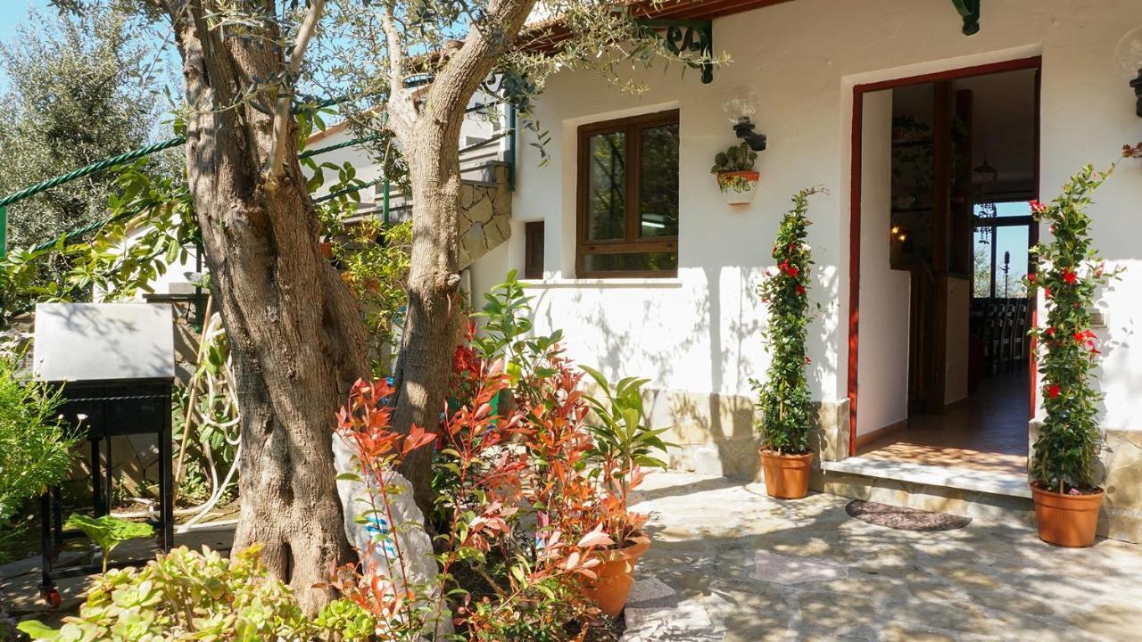 Amore Rentals - Casa Tatano Marciano Dış mekan fotoğraf