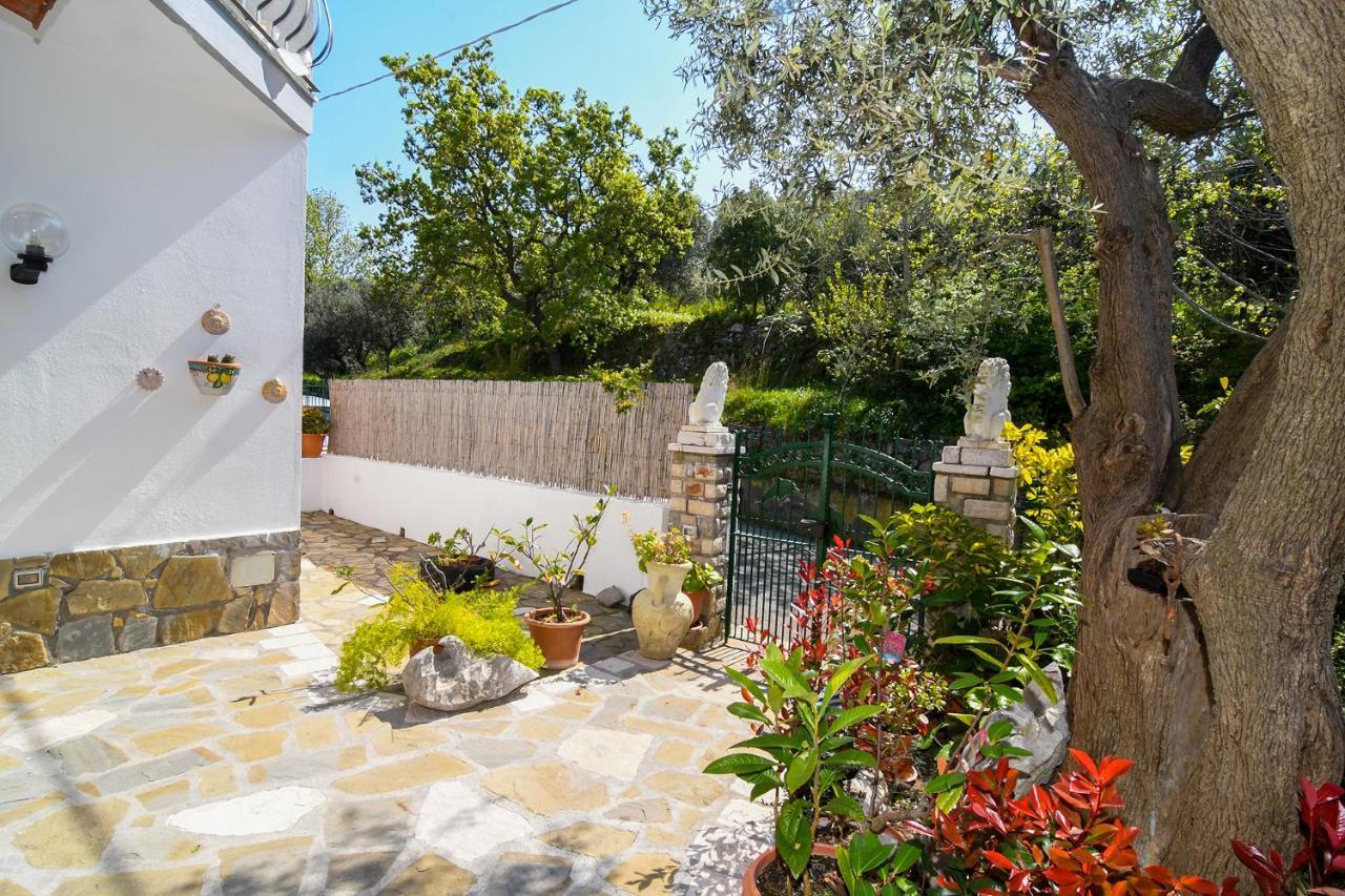 Amore Rentals - Casa Tatano Marciano Dış mekan fotoğraf